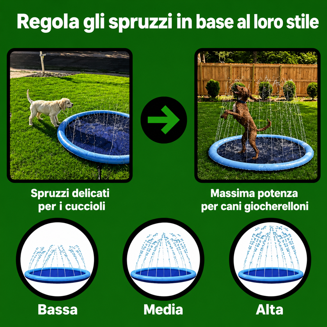 PawLuxe™ - Piscina a fontanella per cani