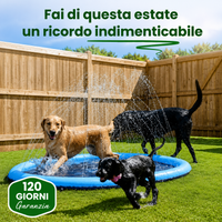 PawLuxe™ - Piscina a fontanella per cani